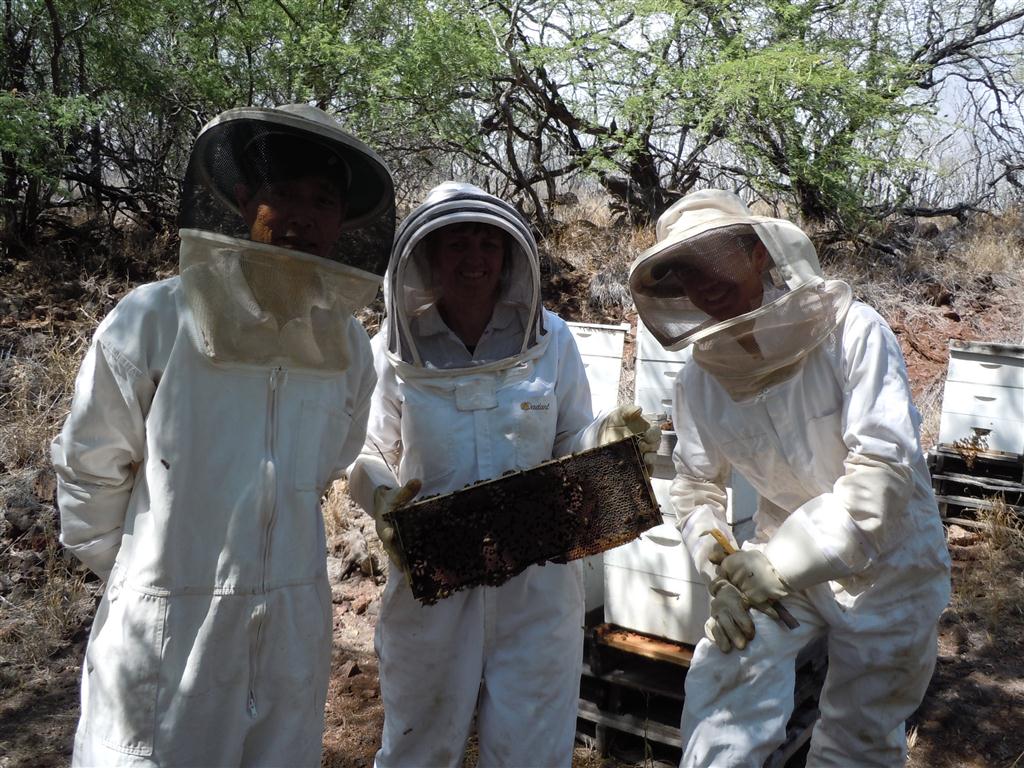Left to right, Denny, Brenda and Elijah Kaneshiro and their bees. Photo by Catherine Cluett