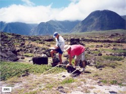 In 2001 the vegetation near the "Mormon steps" eat of Hoolehua beach on the Kalaupapa Penninsula showed a lot of non-native grasses. Photo by Patti Welton