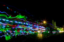 IMG_2918