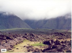 Native vegetation have increased since cattle and deer were removed from this fenced area. Ilima, akia, naupaka and others now dominate the area, compared to the image above. Photo by Paul Hosten