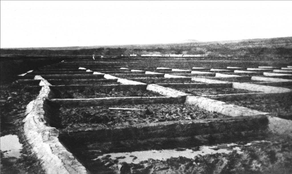 Kaunakakai Salt Works, circa 1901. Photo courtesy Arleone Dibben-Young
