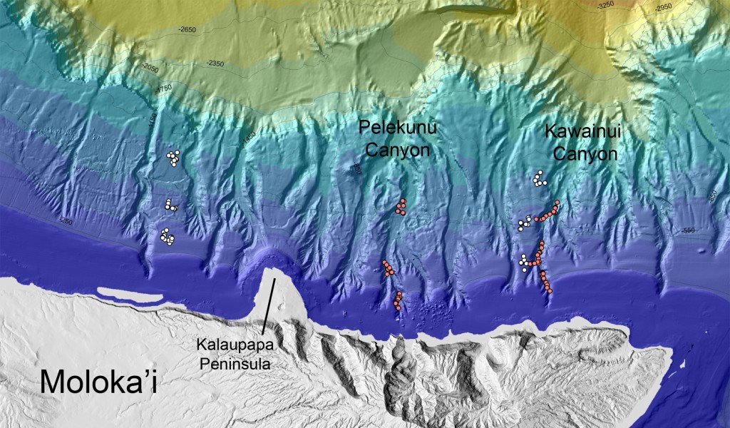 Molokaʻi map