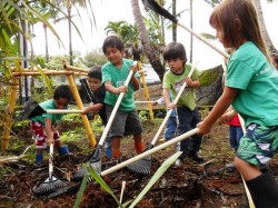 PunanaLeoPreschool