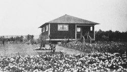 Descendants of Original Kalama`ula Homesteaders Sought