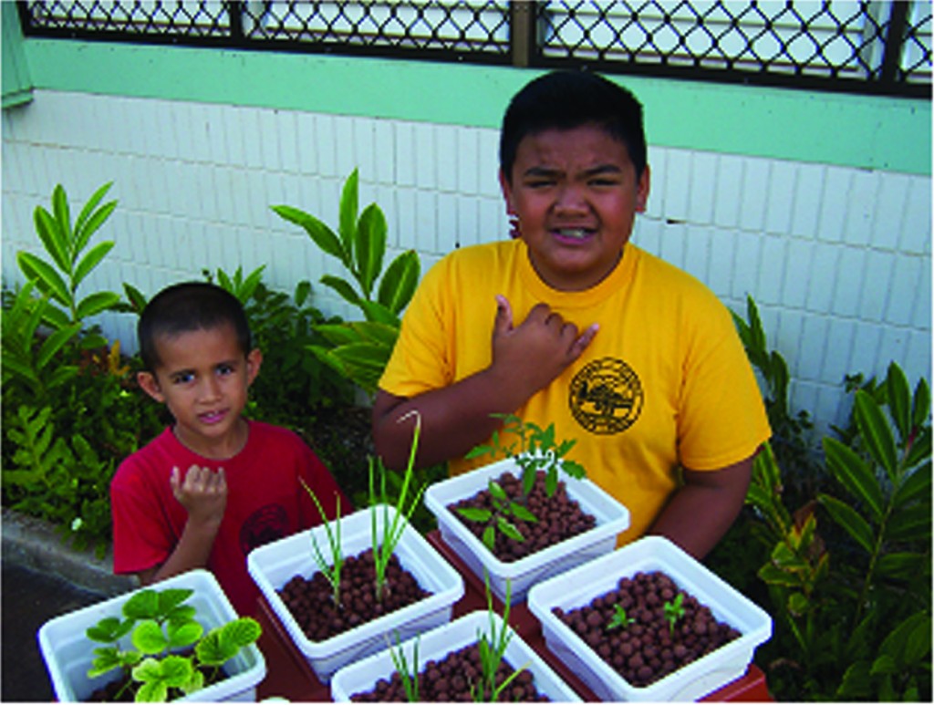 Kekoa and Geovanni add onion and strawberries to the Aeroponic system.