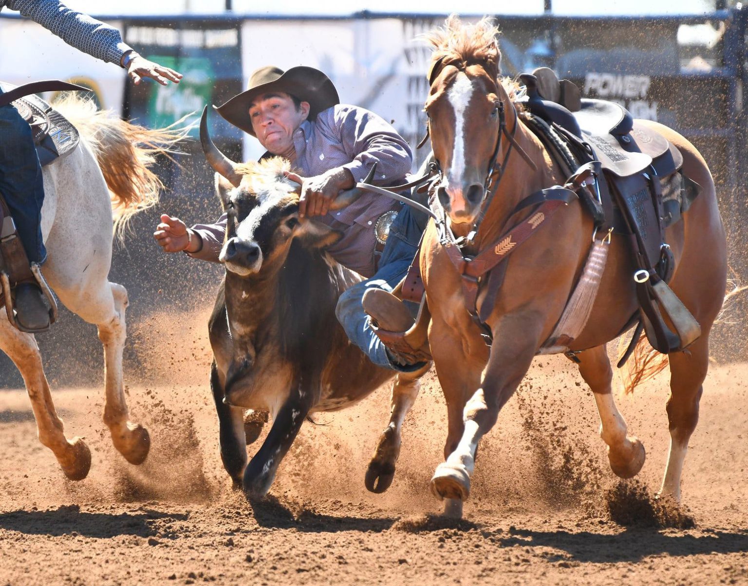 Molokai Wins At Makawao Rodeo The Molokai Dispatch