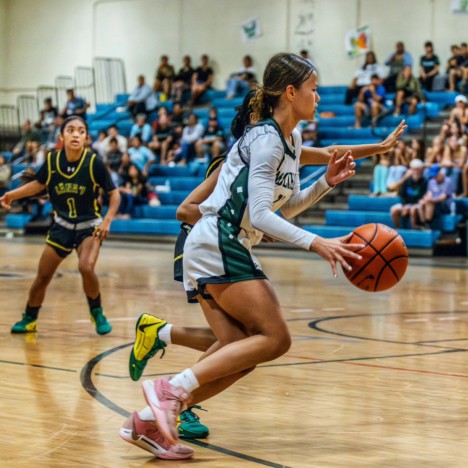 Girls Basketball on to States