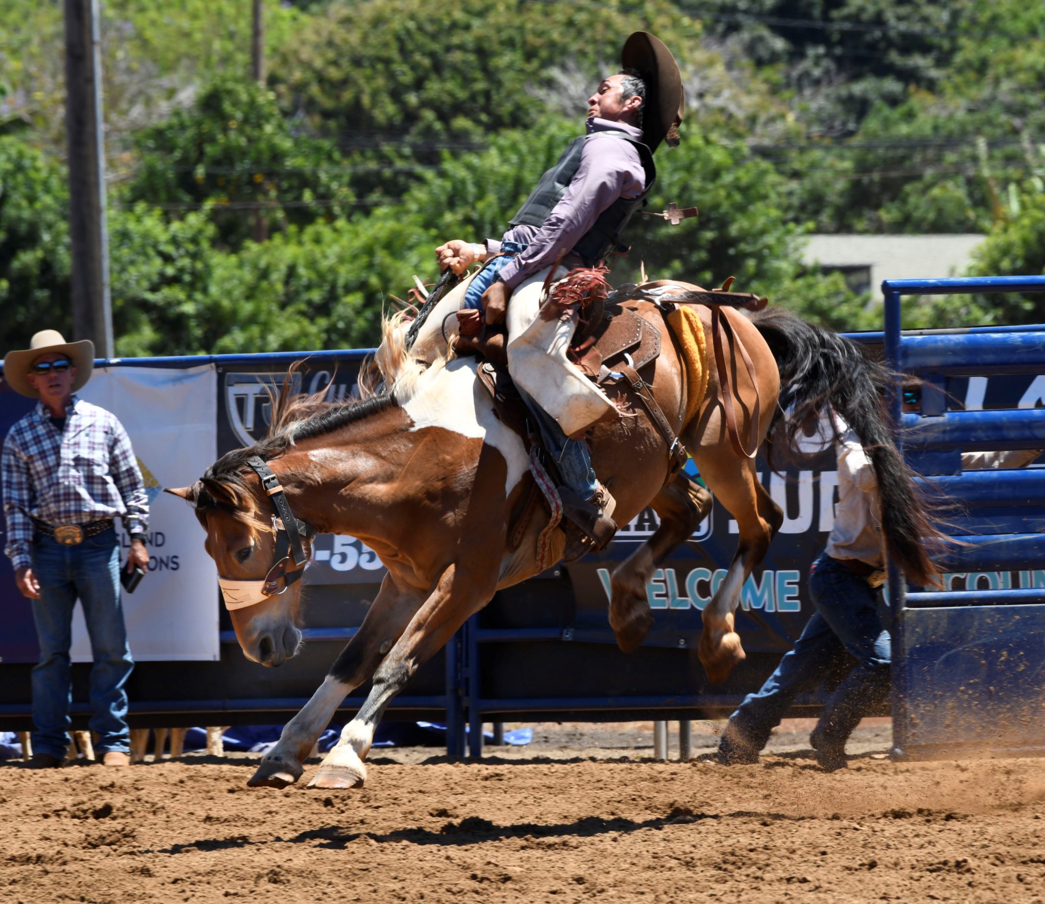 Molokai Wins at Makawao Rodeo The Molokai Dispatch